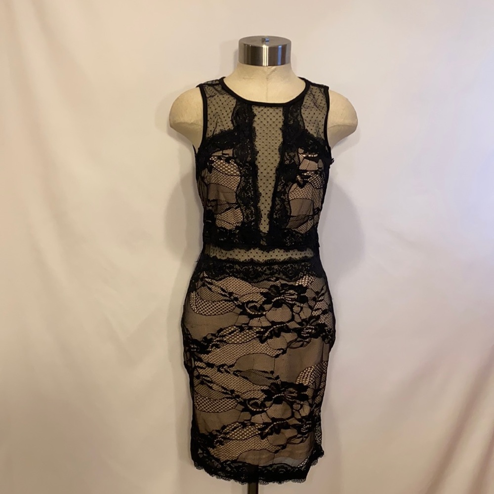 Privy large lace black and beige mini dress